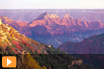 Canyons Thumb